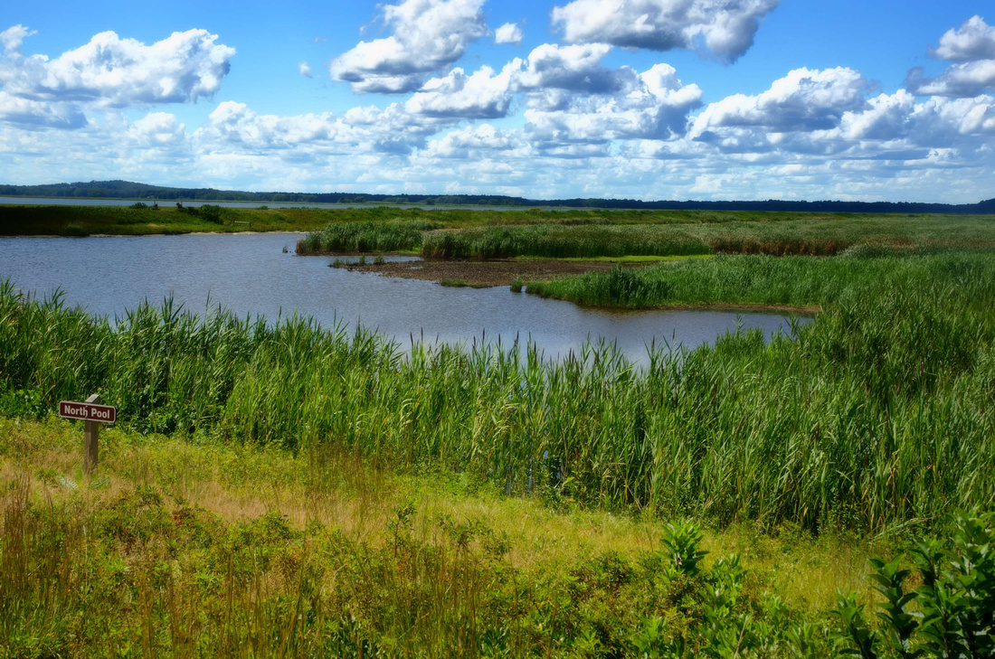 Parker River Refuge