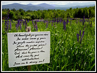 Inspirational Sign-"America the Beautiful", Franconia, NH