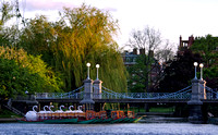 Boston Public Garden Swan Boats