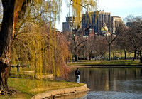 Boston Public Garden