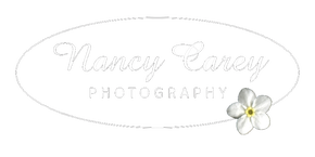 Nancy Carey Photography